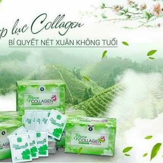 Diệp lục colagen giá sỉ