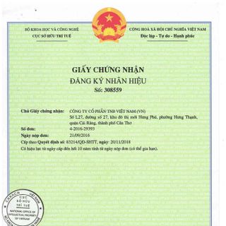 TRÀ KHỔ QUA RỪNG MUDARU TÚI LỘC (HỘP 50 TÚI)