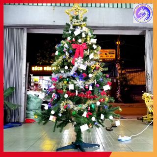 Cây Thông Noel Đầy Đủ Phụ Kiện Trang Trí Cao 1.8m - Cực phẩm trang trí giá sỉ