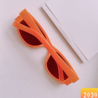 MẮT KÍNH 2030B