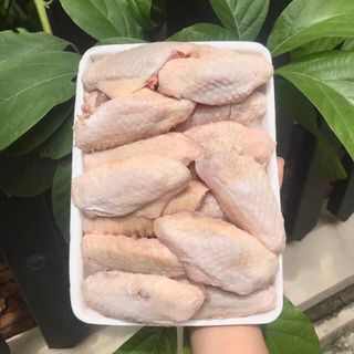 Cánh gà khúc giữa.