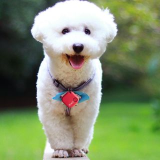 Móc Khóa Thông Minh iTrack 1