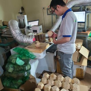 Lịch gỗ MeGo