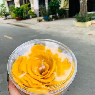 Xoài dẻo xếp hộp