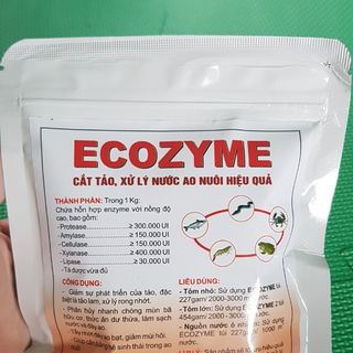 ECOZYME Cắt tảo, xử lý nước ao nuôi hiệu quả giá sỉ
