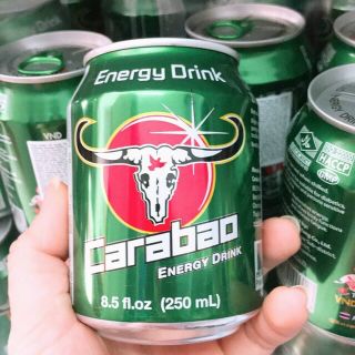 Trâu Carabao lon xanh