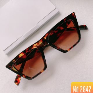 MẮT KÍNH 2842