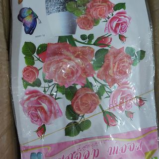 Tranh 3d nổi