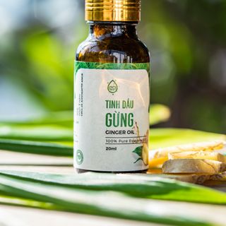 Tinh dầu gừng chai 10ml