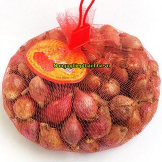 Địa chỉ bán túi lưới nhựa giá sỉ rẻ