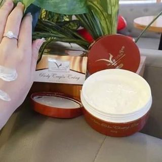 Body vip white truyền trắng thượng lưu