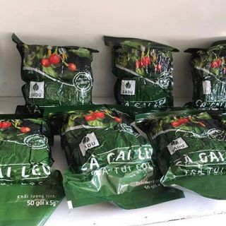 TRÀ TÚI LỌC CÀ GAI LEO