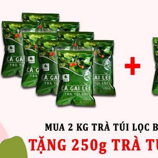 TRÀ TÚI LỌC CÀ GAI LEO