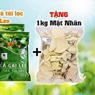 TRÀ TÚI LỌC CÀ GAI LEO