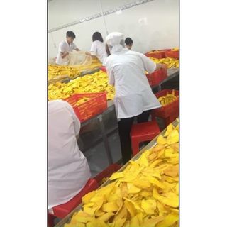 Xoài sấy dẻo xếp hoa (hũ 500g)