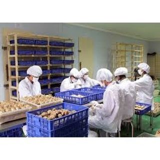 Muối & Tỏi Cao Cấp Anh My - Phòng Chống Covid_19