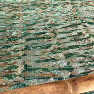 Khô nhà làm ( khô móng tay ngon ngọt như mực khô)