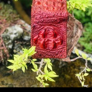 ví Da Cá Sấu đang viền