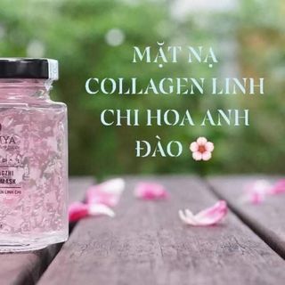 Nạ Collagen dưỡng da hủ lớn 50g