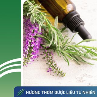 Combo Trị Rụng Tóc, Ngăn Ngừa Nấm Tóc, Nấm Da Đầu Tái Phát - Bộ Đôi Chăm Sóc Hoàn Hảo Dermato 200 & Antisol