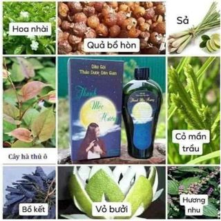 DẦU GỘI ĐẦU THẢO MỘC THANH MỘC HƯƠNG [100% THẢO MỘC]
