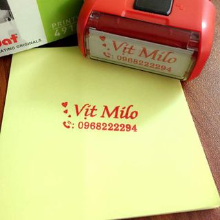 TD Stamp T-214 2 Dòng 38x 14 mm In Bạch Dương
