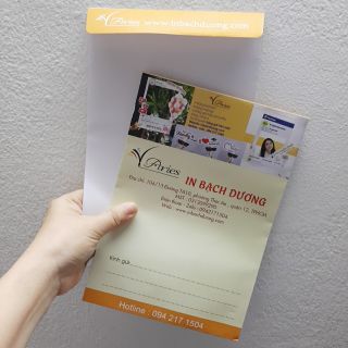 Bao thư 16x23 In Bạch Dương