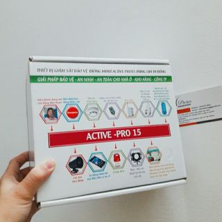 Hộp Carton In Bạch Dương