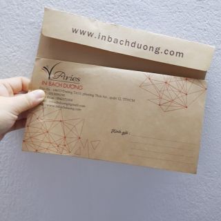 Bao thư 12x22 kraft100 In Bạch Dương