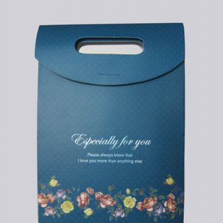 Túi giấy nắp gài 14x21x4 In Bạch Dương