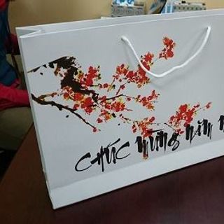 Túi giấy 28x26.5x4 In Bạch Dương