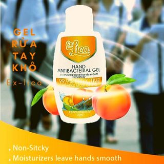 Gel rửa tay diệt khẩu cao cấp Ex. Lica