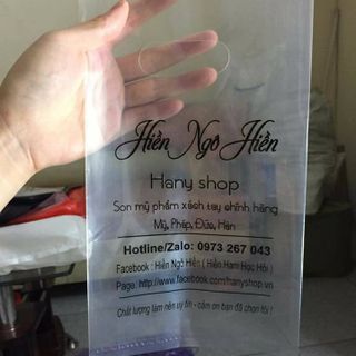 Túi Nilon Trong Hột Xoài In Bạch Dương