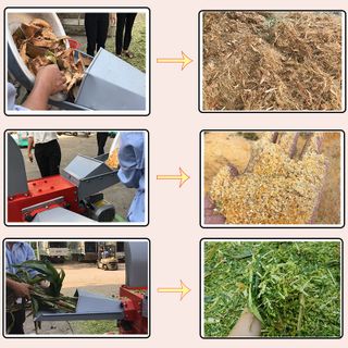 Máy băm nghiền cổ cao Bình Quân tích hợp 2 chức năng băm & nghiền ( xanh lá )