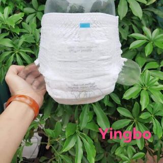 Tã quần yingbo 100 miếng size M,L,XL,XXL