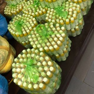 Dầu xoa bóp chùa Linh Phong