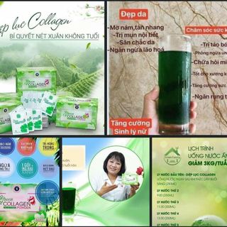 Diệp lục Collagen giá sỉ