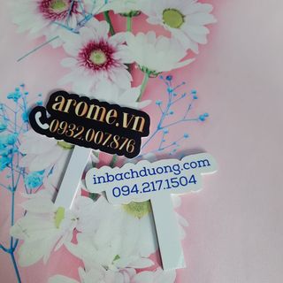 Nhận in hashtag  In Bạch Dương