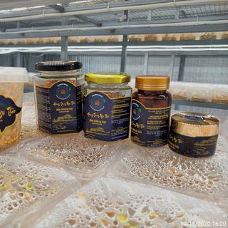 Đông Trùng Hạ Thảo hũ bột sấy 10 gram