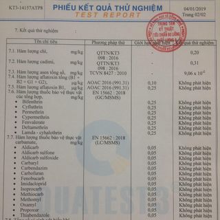 Xích Chi Nhật Bản Nguyên bào tử Khải Hoàn [ Có giấy phép ]