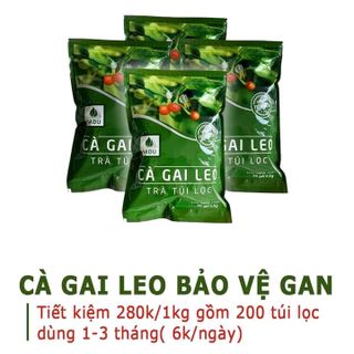 trà túi lọc cà gai leo sadu mát gan giải độc