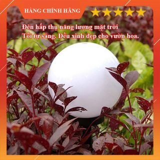 Đèn năng lượng mặt trời - hình quả cầu, cấm đát, chống nước [0407]