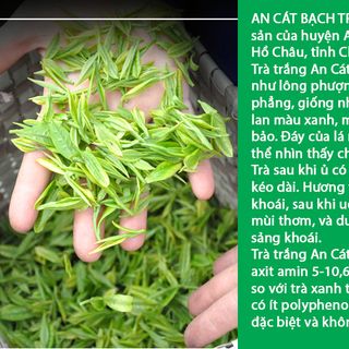 Trà Xanh An Cát Bạch Trà - Hộp 100 gram