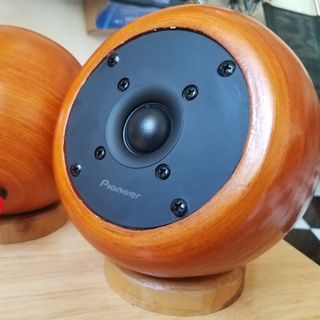 Loa Trép rời Pioneer vỏ Tre