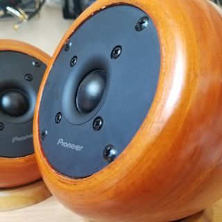 Loa Trép rời Pioneer vỏ Tre