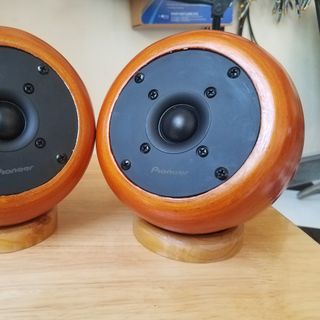 Loa Trép rời Pioneer vỏ Tre