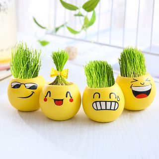 Chậu trồng cây mini hình mặt cười để bàn