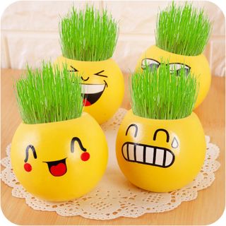 Chậu trồng cây mini hình mặt cười để bàn
