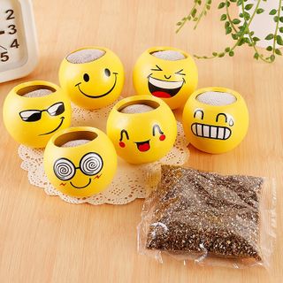 Chậu trồng cây mini hình mặt cười để bàn