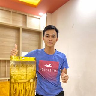 đinh lăng điêu khắc 25.8l